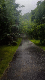 Monsoon video status video download the video status