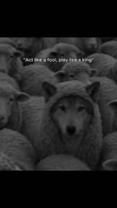 act like a fool play like a king status video download the video status