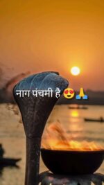 nag panchami status video download Happy Nag Panchami the status video