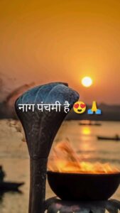 nag panchami status video download Happy Nag Panchami the status video