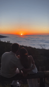 sunset with romantic couple love status video download the video status