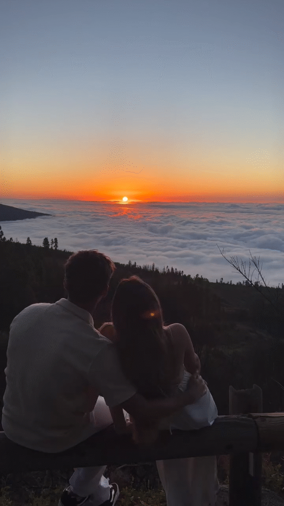 sunset with romantic couple love status video download the video status