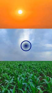 15 august status - the video status
