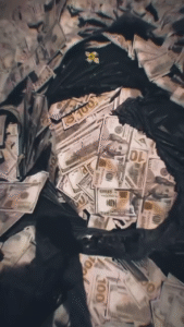 paisa status video download - the video status